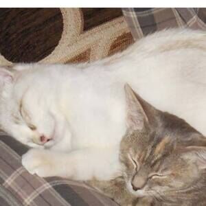 Meet your Posher, Brad